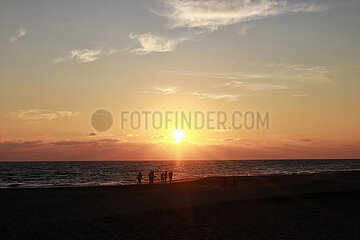 Release of the Olive Ridley Turtle in Oaxaca
