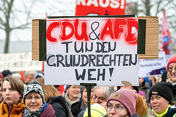 Demo Gemeinsam fuer Demokratie und Solidaritaet in Schleswig  02.02.2025