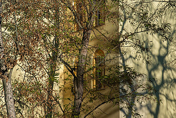 Berlin  Deutschland - Hauswand mit Baumen und Schatten