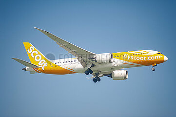 Singapur  Republik Singapur  Boeing 787-8 Dreamliner Passagierflugzeug der Scoot Airlines im Landeanflug auf den Flughafen Changi