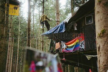 Ein Tag im Altdorfer Wald bei Ravensburg im Frühling 2025