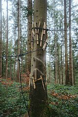 Ein Tag im Altdorfer Wald bei Ravensburg im Frühling 2025