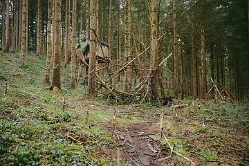 Ein Tag im Altdorfer Wald bei Ravensburg im Frühling 2025