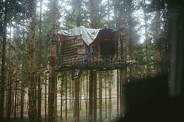 Ein Tag im Altdorfer Wald bei Ravensburg im Frühling 2025