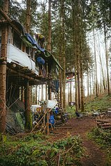Ein Tag im Altdorfer Wald bei Ravensburg im Frühling 2025