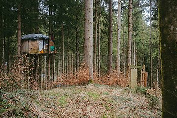 Ein Tag im Altdorfer Wald bei Ravensburg im Frühling 2025