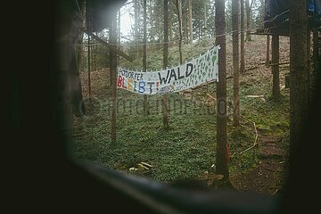Ein Tag im Altdorfer Wald bei Ravensburg im Frühling 2025
