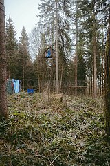 Ein Tag im Altdorfer Wald bei Ravensburg im Frühling 2025
