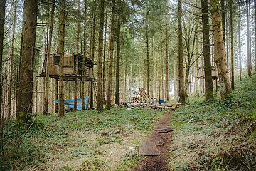 Ein Tag im Altdorfer Wald bei Ravensburg im Frühling 2025