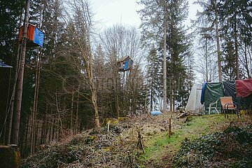 Ein Tag im Altdorfer Wald bei Ravensburg im Frühling 2025