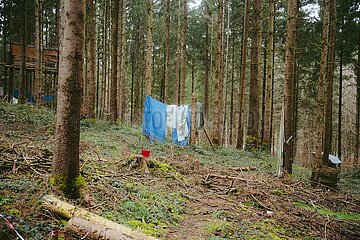 Ein Tag im Altdorfer Wald bei Ravensburg im Frühling 2025