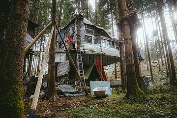 Ein Tag im Altdorfer Wald bei Ravensburg im Frühling 2025
