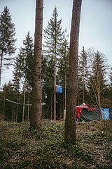 Ein Tag im Altdorfer Wald bei Ravensburg im Frühling 2025