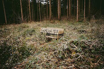 Ein Tag im Altdorfer Wald bei Ravensburg im Frühling 2025