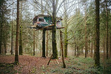 Ein Tag im Altdorfer Wald bei Ravensburg im Frühling 2025