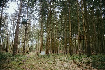 Ein Tag im Altdorfer Wald bei Ravensburg im Frühling 2025