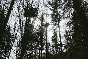 Ein Tag im Altdorfer Wald bei Ravensburg im Frühling 2025