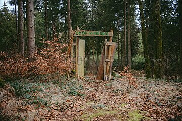 Ein Tag im Altdorfer Wald bei Ravensburg im Frühling 2025