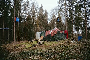 Ein Tag im Altdorfer Wald bei Ravensburg im Frühling 2025