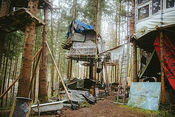 Ein Tag im Altdorfer Wald bei Ravensburg im Frühling 2025