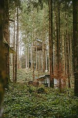 Ein Tag im Altdorfer Wald bei Ravensburg im Frühling 2025