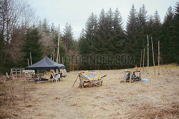 Ein Tag im Altdorfer Wald bei Ravensburg im Frühling 2025