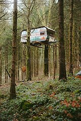 Ein Tag im Altdorfer Wald bei Ravensburg im Frühling 2025
