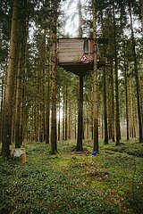 Ein Tag im Altdorfer Wald bei Ravensburg im Frühling 2025