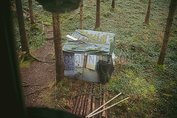 Ein Tag im Altdorfer Wald bei Ravensburg im Frühling 2025