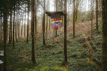 Ein Tag im Altdorfer Wald bei Ravensburg im Frühling 2025