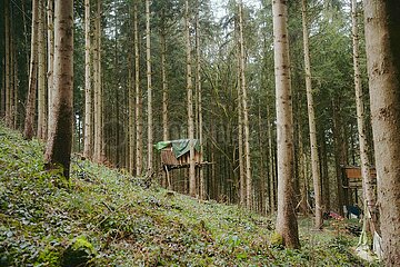 Ein Tag im Altdorfer Wald bei Ravensburg im Frühling 2025