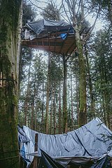 Ein Tag im Altdorfer Wald bei Ravensburg im Frühling 2025
