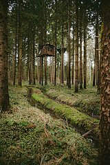 Ein Tag im Altdorfer Wald bei Ravensburg im Frühling 2025