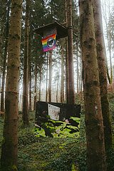 Ein Tag im Altdorfer Wald bei Ravensburg im Frühling 2025