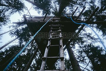 Ein Tag im Altdorfer Wald bei Ravensburg im Frühling 2025