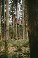 Ein Tag im Altdorfer Wald bei Ravensburg im Frühling 2025