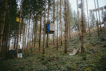 Ein Tag im Altdorfer Wald bei Ravensburg im Frühling 2025
