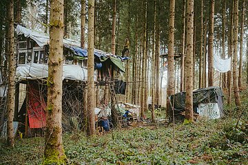 Ein Tag im Altdorfer Wald bei Ravensburg im Frühling 2025