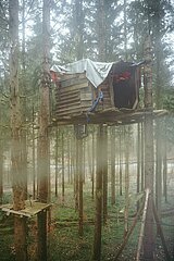 Ein Tag im Altdorfer Wald bei Ravensburg im Frühling 2025
