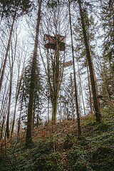 Ein Tag im Altdorfer Wald bei Ravensburg im Frühling 2025