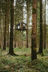 Ein Tag im Altdorfer Wald bei Ravensburg im Frühling 2025