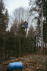 Ein Tag im Altdorfer Wald bei Ravensburg im Frühling 2025