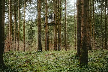 Ein Tag im Altdorfer Wald bei Ravensburg im Frühling 2025