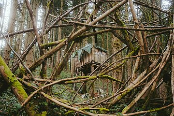 Ein Tag im Altdorfer Wald bei Ravensburg im Frühling 2025