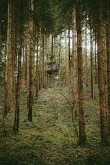 Ein Tag im Altdorfer Wald bei Ravensburg im Frühling 2025