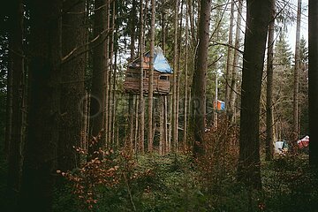 Ein Tag im Altdorfer Wald bei Ravensburg im Frühling 2025