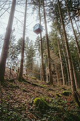 Ein Tag im Altdorfer Wald bei Ravensburg im Frühling 2025