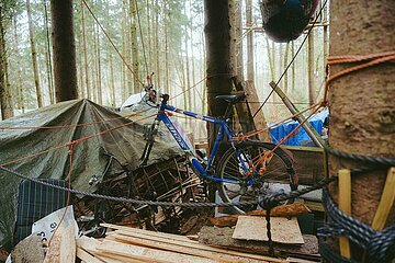 Ein Tag im Altdorfer Wald bei Ravensburg im Frühling 2025