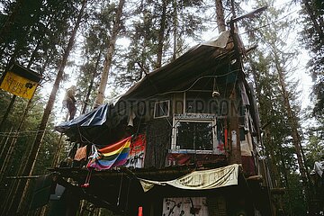 Ein Tag im Altdorfer Wald bei Ravensburg im Frühling 2025