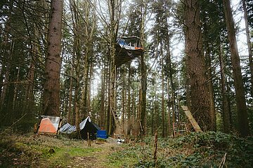 Ein Tag im Altdorfer Wald bei Ravensburg im Frühling 2025